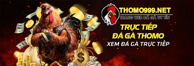 Hướng dẫn tải nhà cái Thomo999 về điện thoại cho tân thủ 3 Tìm hiểu về nhà cái Thomo999