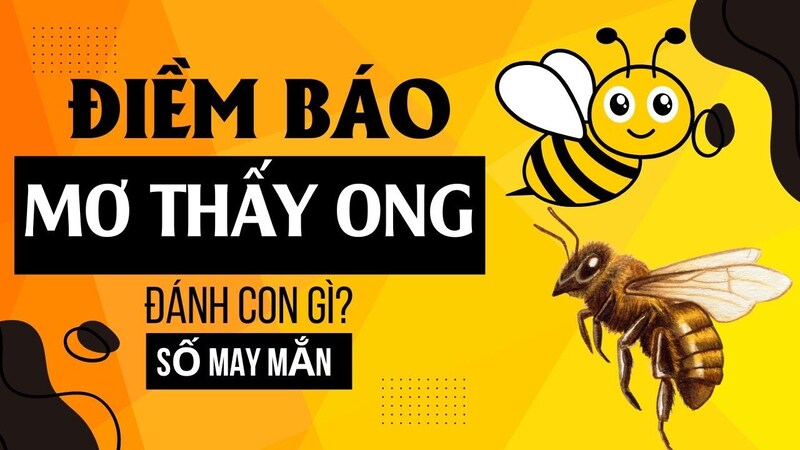 Tìm hiểu ý nghĩa của giấc mơ thấy ong và những con số may mắn Tìm hiểu ý nghĩa của giấc mơ thấy ong và những con số may mắn